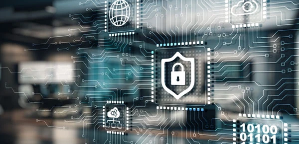 The Business Leader’s Guide to Cybersecurity and Data Protection Strategies